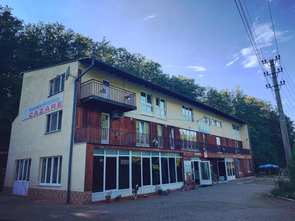 Pensiunea Pastravul Hotel Cîrţişoara Bagian luar foto