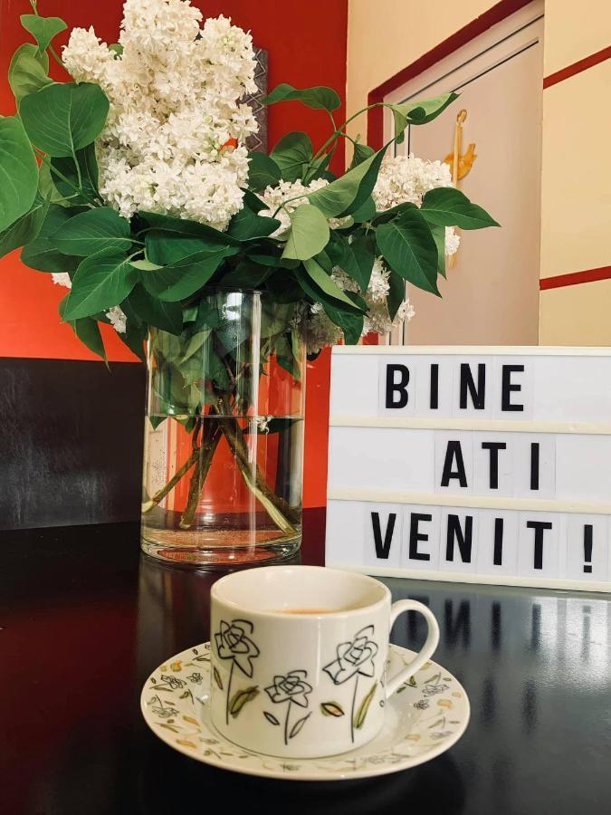 Pensiunea Pastravul Hotel Cîrţişoara Bagian luar foto