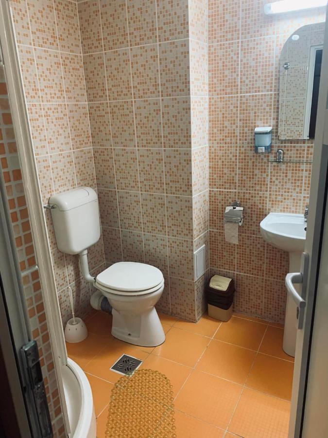 Pensiunea Pastravul Hotel Cîrţişoara Bagian luar foto