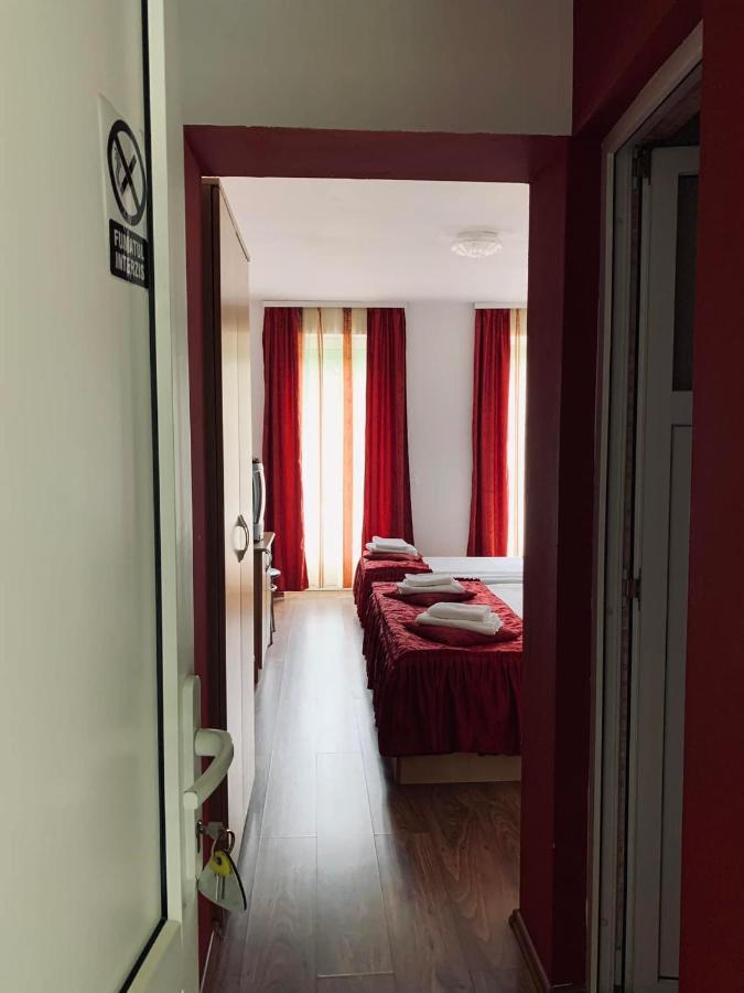Pensiunea Pastravul Hotel Cîrţişoara Bagian luar foto