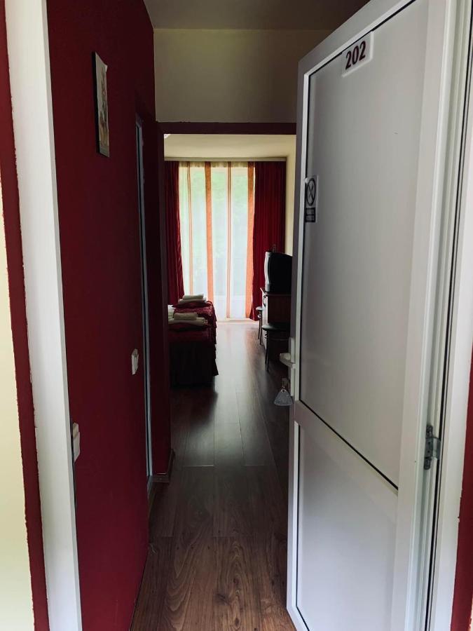 Pensiunea Pastravul Hotel Cîrţişoara Bagian luar foto
