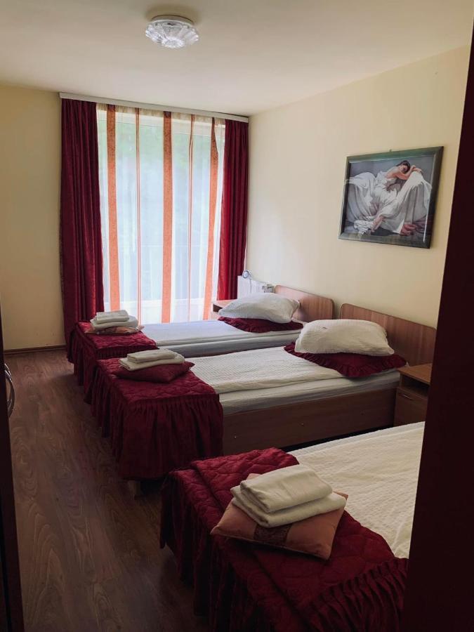 Pensiunea Pastravul Hotel Cîrţişoara Bagian luar foto