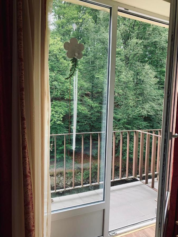 Pensiunea Pastravul Hotel Cîrţişoara Bagian luar foto