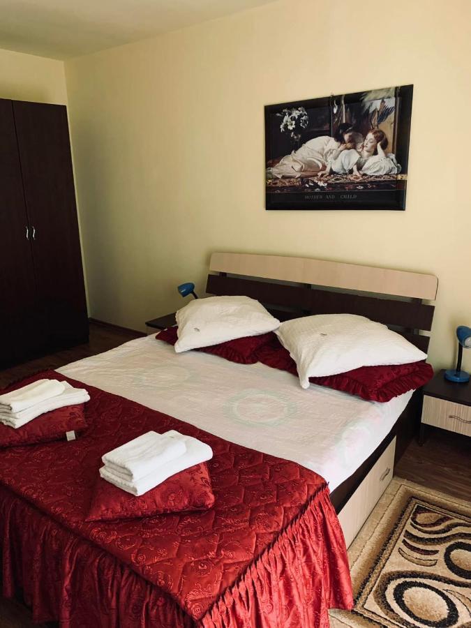 Pensiunea Pastravul Hotel Cîrţişoara Bagian luar foto