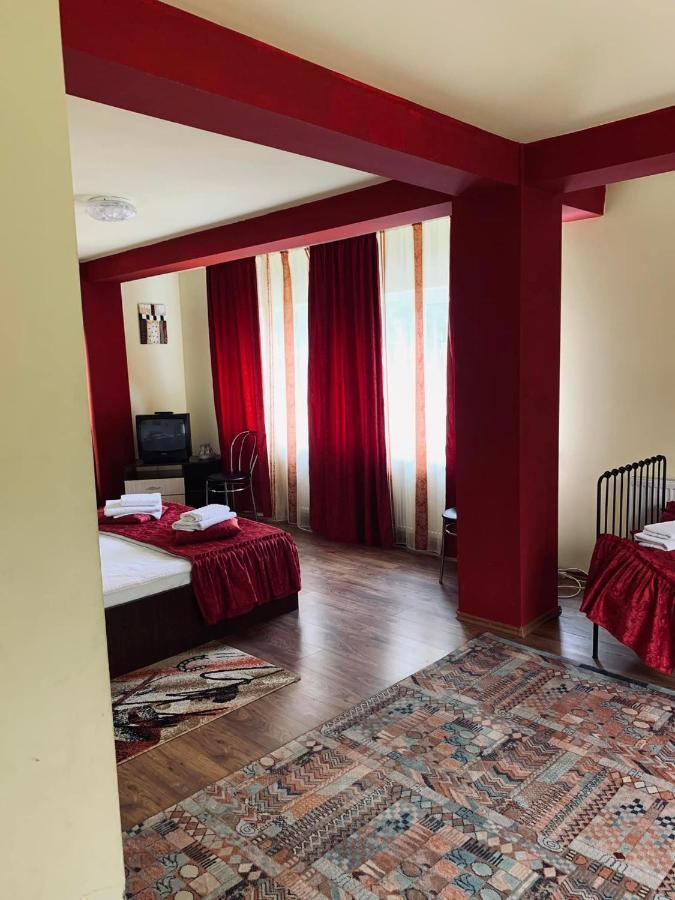 Pensiunea Pastravul Hotel Cîrţişoara Bagian luar foto