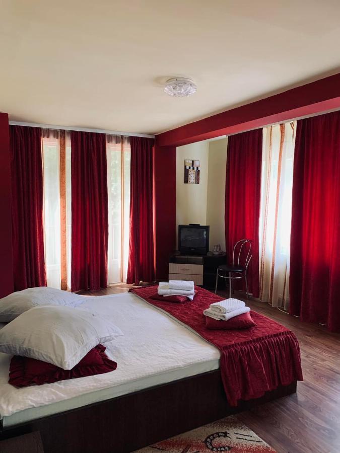 Pensiunea Pastravul Hotel Cîrţişoara Bagian luar foto