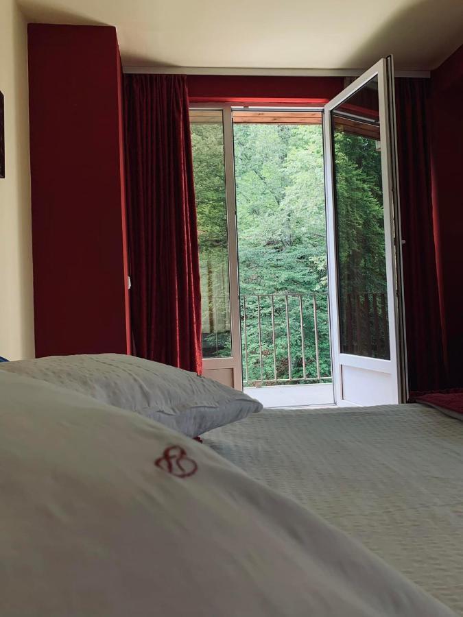 Pensiunea Pastravul Hotel Cîrţişoara Bagian luar foto