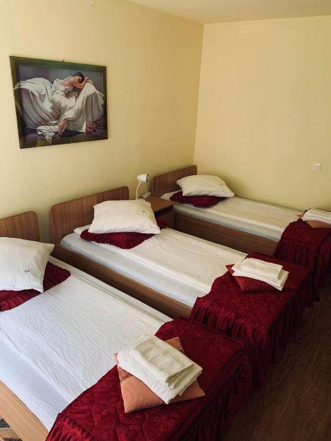 Pensiunea Pastravul Hotel Cîrţişoara Bagian luar foto