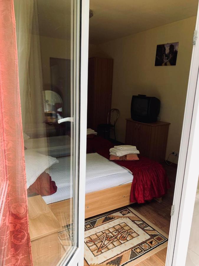 Pensiunea Pastravul Hotel Cîrţişoara Bagian luar foto