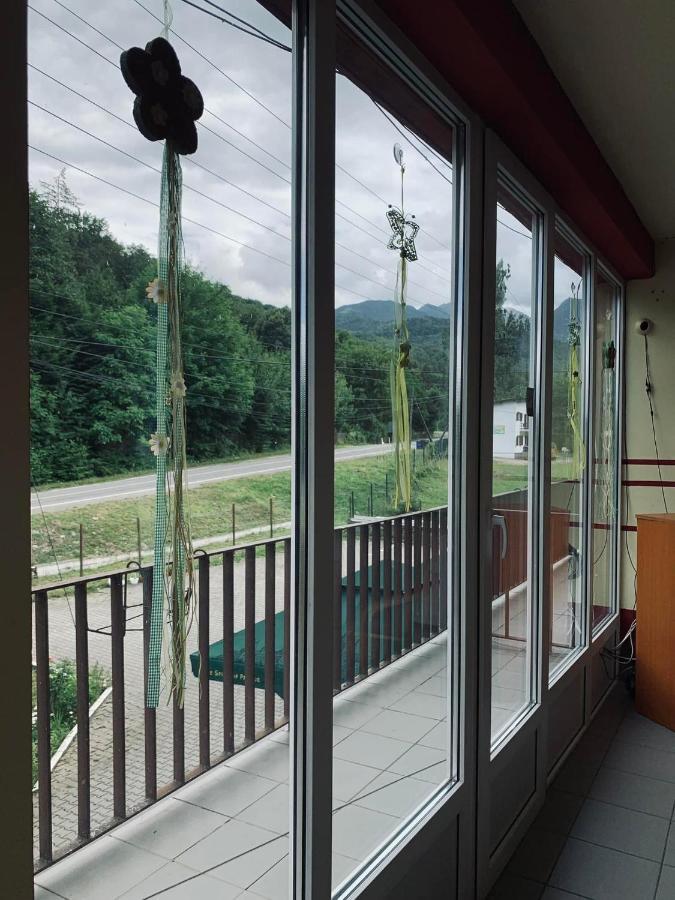 Pensiunea Pastravul Hotel Cîrţişoara Bagian luar foto