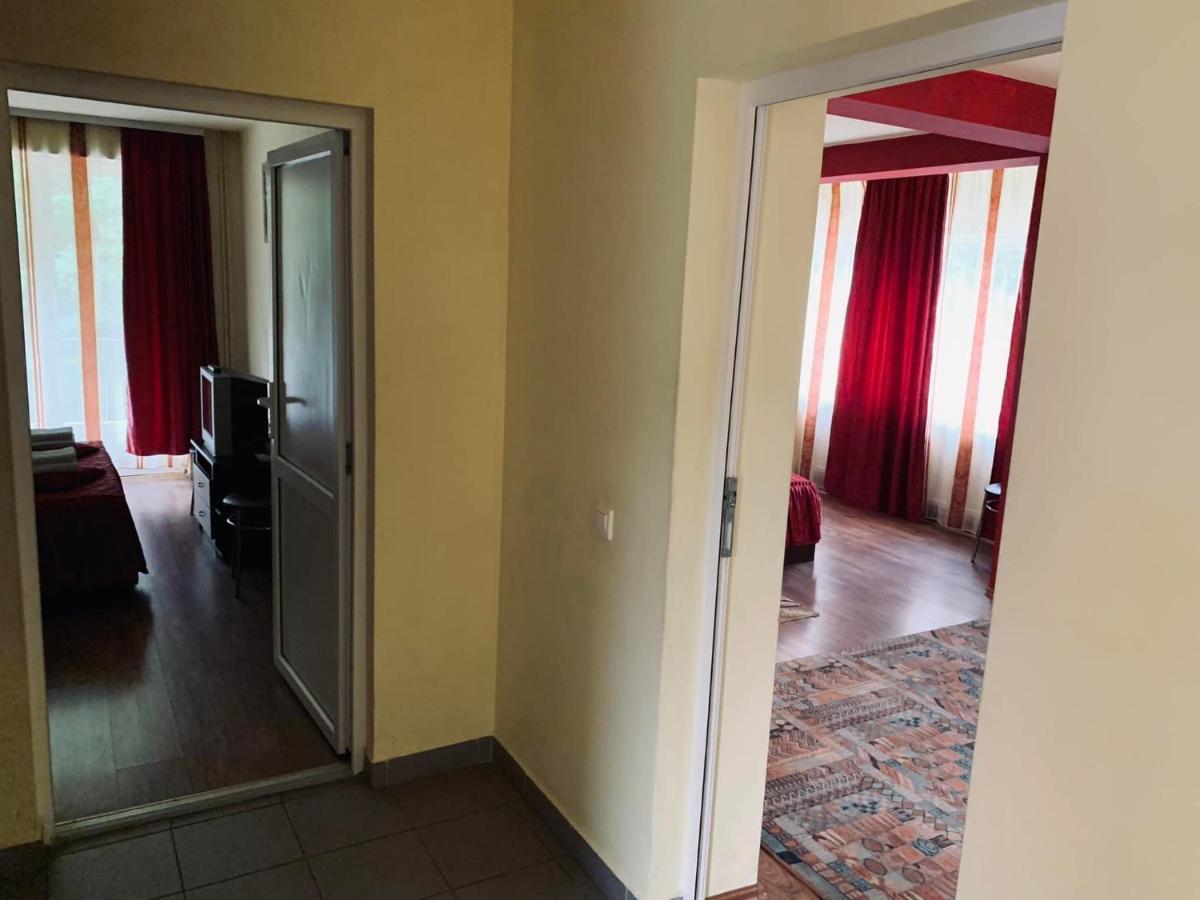 Pensiunea Pastravul Hotel Cîrţişoara Bagian luar foto