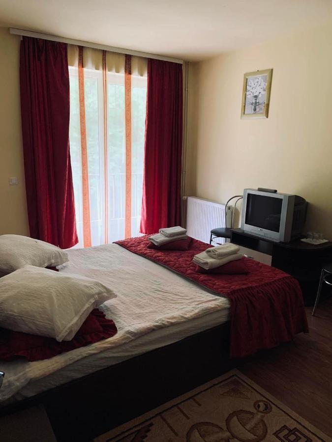 Pensiunea Pastravul Hotel Cîrţişoara Bagian luar foto