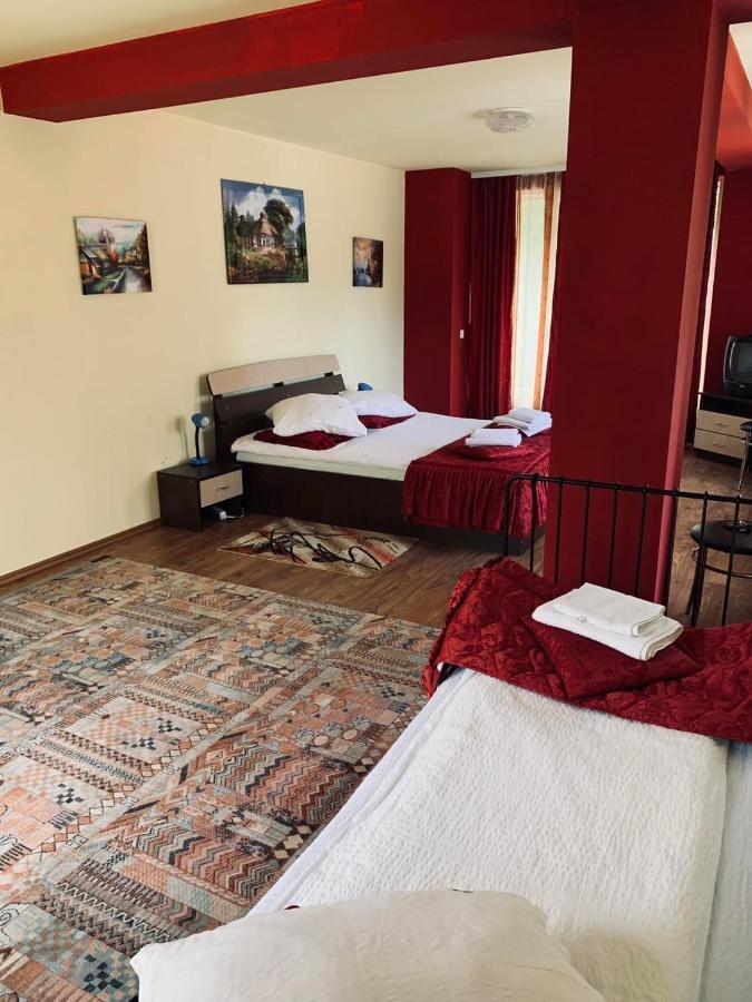 Pensiunea Pastravul Hotel Cîrţişoara Bagian luar foto