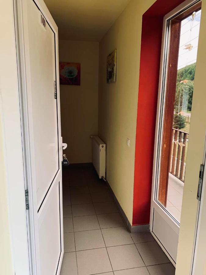 Pensiunea Pastravul Hotel Cîrţişoara Bagian luar foto