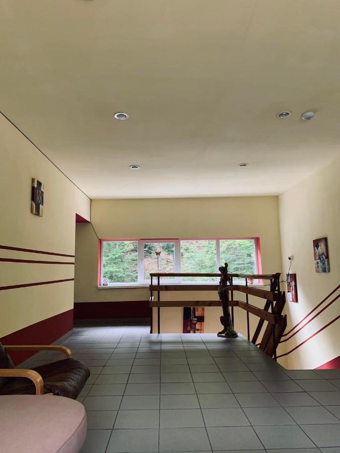 Pensiunea Pastravul Hotel Cîrţişoara Bagian luar foto