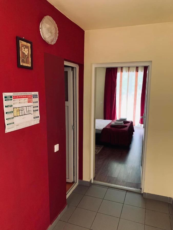 Pensiunea Pastravul Hotel Cîrţişoara Bagian luar foto