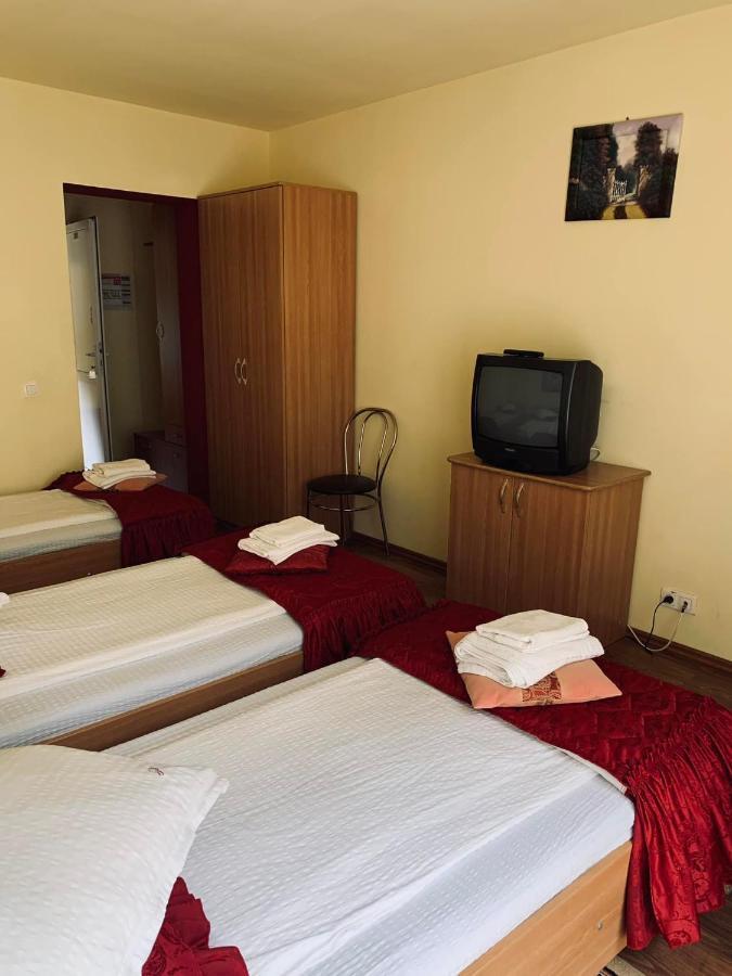 Pensiunea Pastravul Hotel Cîrţişoara Bagian luar foto