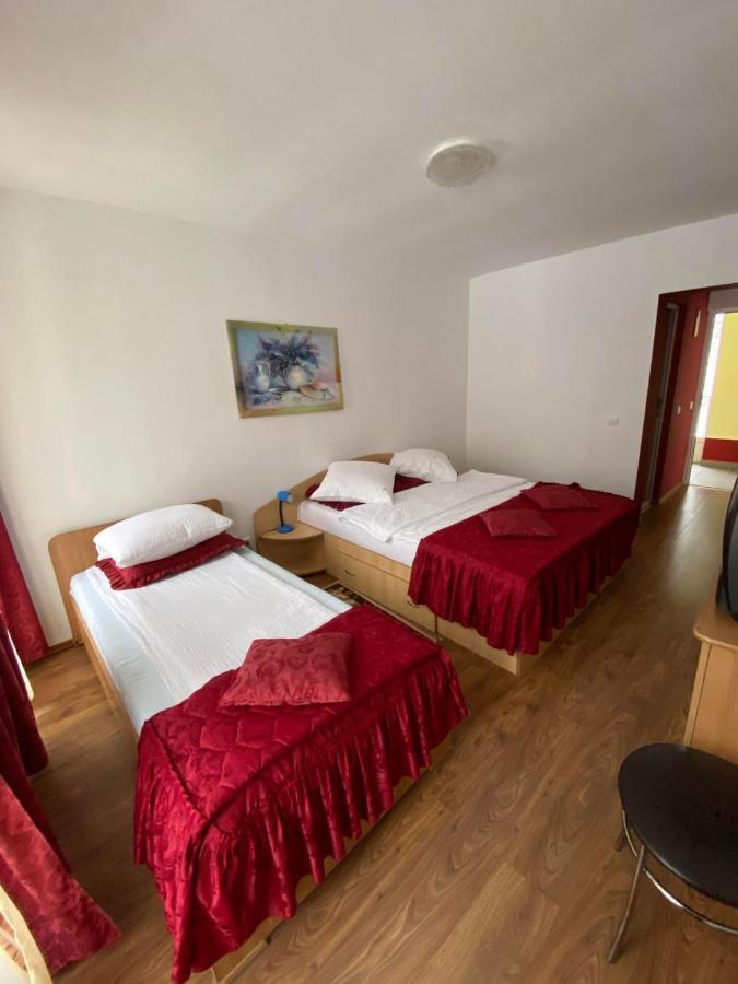Pensiunea Pastravul Hotel Cîrţişoara Bagian luar foto