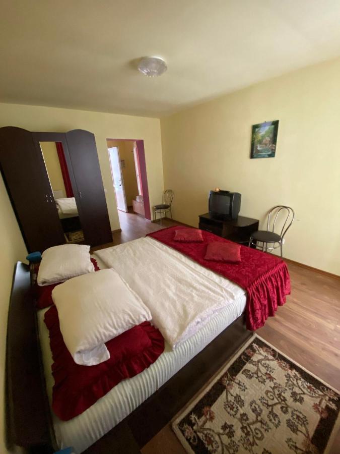 Pensiunea Pastravul Hotel Cîrţişoara Bagian luar foto