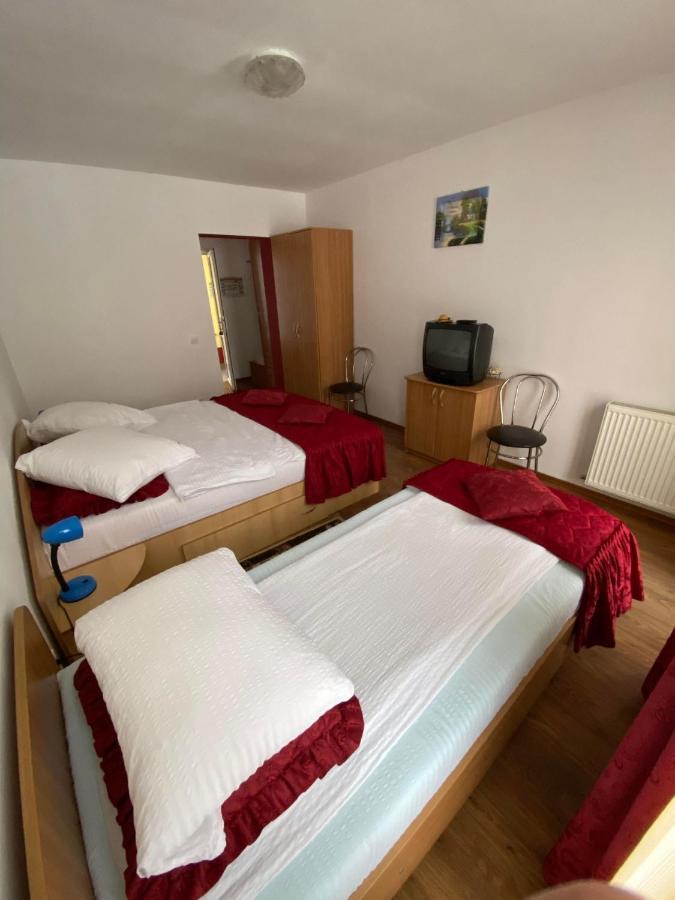 Pensiunea Pastravul Hotel Cîrţişoara Bagian luar foto