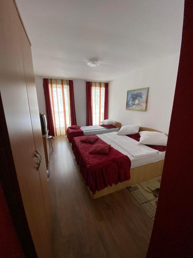 Pensiunea Pastravul Hotel Cîrţişoara Bagian luar foto