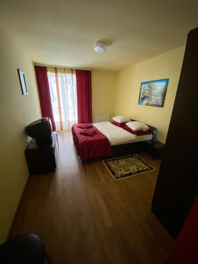 Pensiunea Pastravul Hotel Cîrţişoara Bagian luar foto