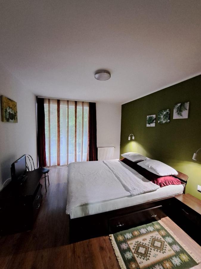 Pensiunea Pastravul Hotel Cîrţişoara Bagian luar foto