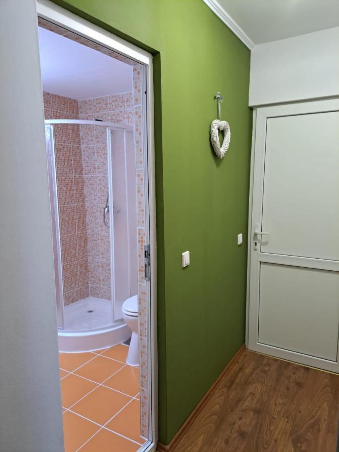 Pensiunea Pastravul Hotel Cîrţişoara Bagian luar foto