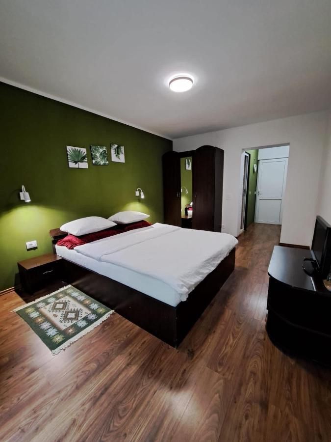 Pensiunea Pastravul Hotel Cîrţişoara Bagian luar foto
